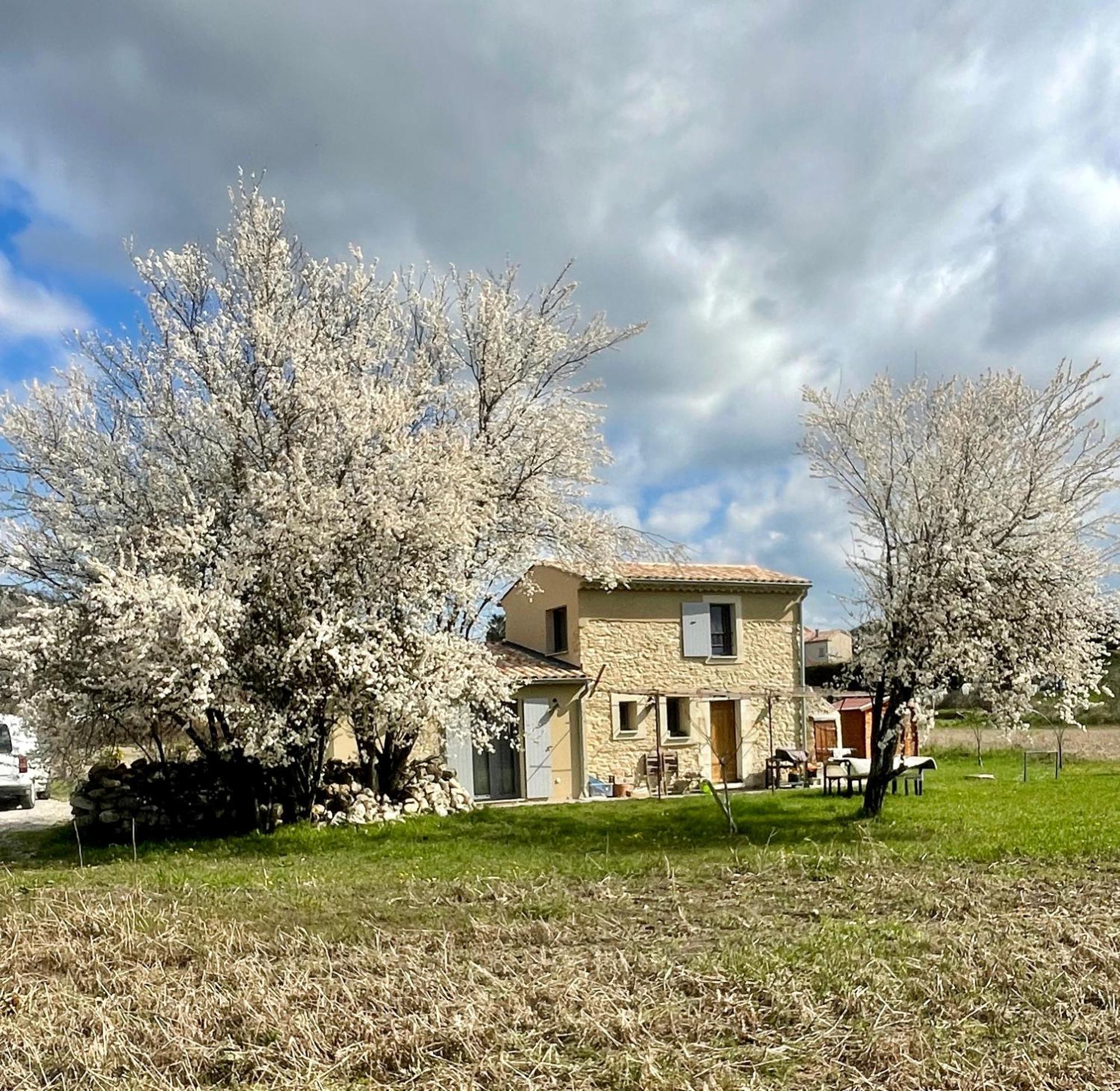 Le Petit Cabanon Provencal Mane (Alpes-de-Haute-Provence) Exterior foto